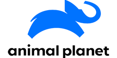 apl